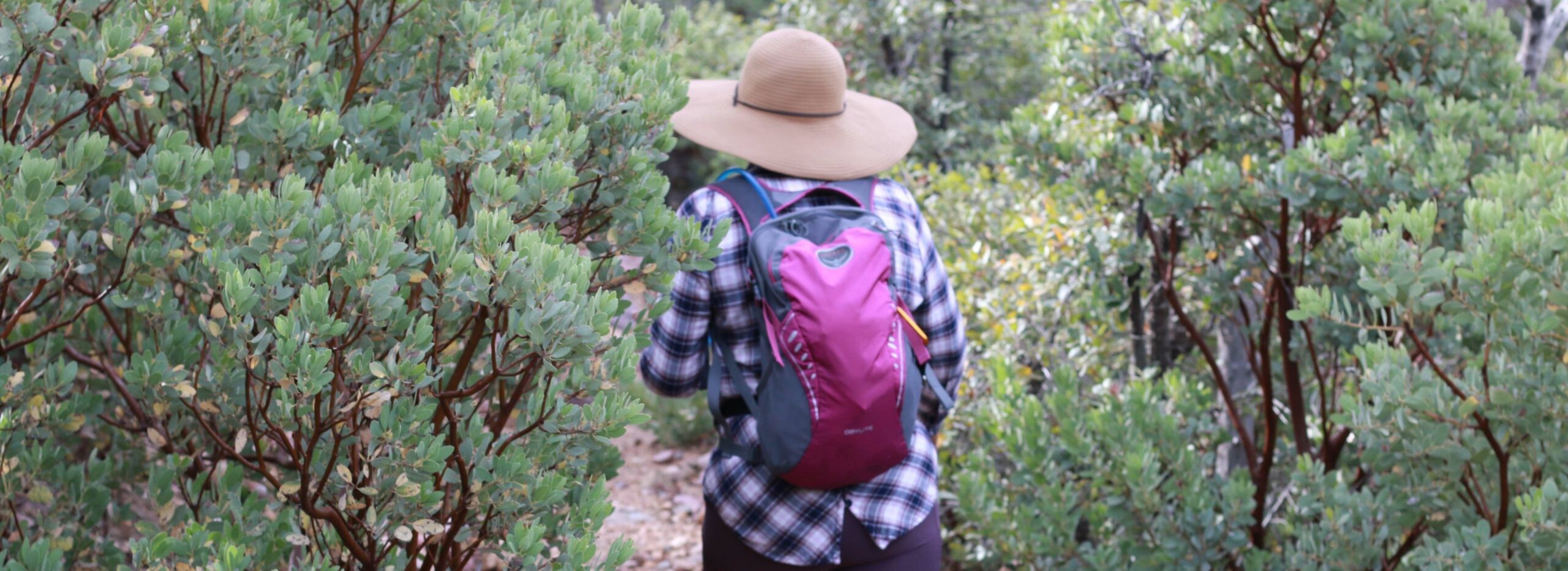 Lady Hiking in the high desert.
